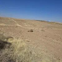 فرروش-زمین-با-مجوز-تغییر-کاربری-خوراک-دام-و-طیور