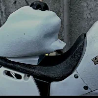 این نمونه باک