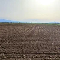 زمین کشاورزی سرطا