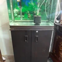 آکواریوم شرکتی شیشه خم ماهیران پمپ آتمن بخاری سوبو