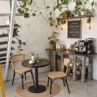 نیروی کار خانم