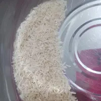 برنج فجرامساله|خوردنی و آشامیدنی|گرگان, |دیوار