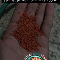 غذا و دارو و ویتامین عمده برای ماهیان