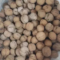 گردو درجه یک