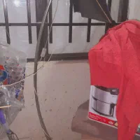 آباژور ایستاده.سالم