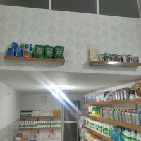 فروش بذر هندوانه