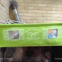 گهواره سالمو نو