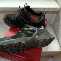 کتونی هامتو