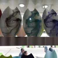 دیس سالاخوری و میوه خوری