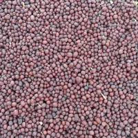 عناب خشک درجه یک شهرستان قاین