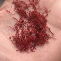 زعفران قائنات اقتصادی|خوردنی و آشامیدنی|تهران, والفجر (افسریه)|دیوار