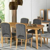 ناهارخوری مدل T