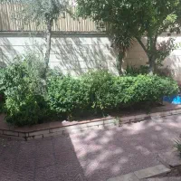 شکوفه کاظمی پارکینگ انباری خوش نقشه غرق نور|اجارهٔ آپارتمان|تهران, شکوفه|دیوار