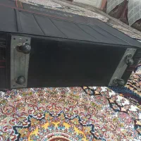 چمدان|کیف، کفش، کمربند|قم, چهل درخت‎|دیوار