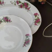 دیس غذا خوری و بشقاب و خورشت خوری گل قرمز
