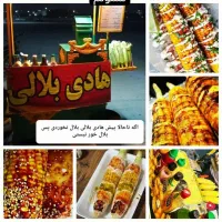 همکار جهت کار در هادی بلالی