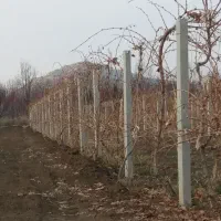 فنس کشی علیزاده|خدمات باغبانی و درختکاری|ارومیه, |دیوار