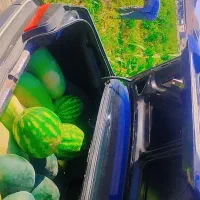 فروش ۵ هکتار|فروش دفتر صنعتی، کشاورزی، تجاری|سندرک, |دیوار