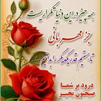 گوشی پیدا شده