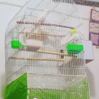 قفس کاسکویی سالم سالم.