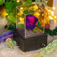 باکس گل رز آوا مناسب هدیه کادو|گل و گیاه طبیعی|تهران, دولاب|دیوار