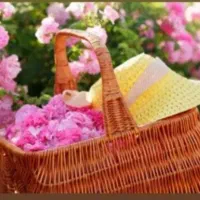 آفرویژه تورگلاب گیری کاشان