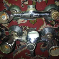 دو عدد شیر دوقلو