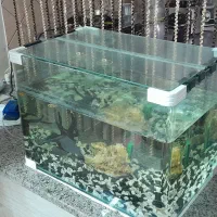 آکواریوم شیشه خم