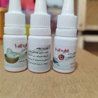 کبوتر پلاکی|پرنده|تبریز, |دیوار