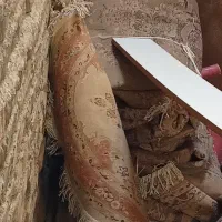 دو عدد فرش 6متری جفت و یک عدد قالیچه