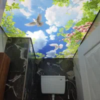 سقف کشسان|مصالح و تجهیزات ساختمان|قائمشهر, |دیوار