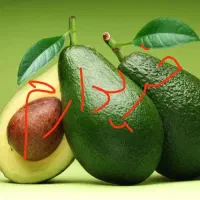 آووکادو  آواکادو آوکادو