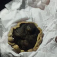 مهره