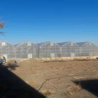 گلخانه هیدروپونیک جاده گلمکان|فروش دفتر صنعتی، کشاورزی، تجاری|مشهد, احمدآباد|دیوار