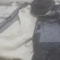 کاپشن دخترانه|لباس|جوانرود, |دیوار