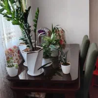 میز ناهارخوری