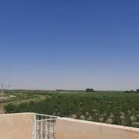 فروش 14 هکتار باغ پسته ورامین جواد آباد|فروش دفتر صنعتی، کشاورزی، تجاری|جوادآباد, |دیوار