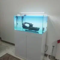 تنه چوب آبنوس ۴/۶۰۰کیلوگرم.آکواریوم.ماهی|ماهی|محمدشهر, شهرک پیام (مهرالبرز)|دیوار