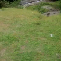 مشارکت در کار با سرمایه