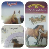 3 جلد کتاب  در رابطه با اسب.