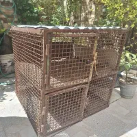 قفس سهره و کبوتر و مرغ