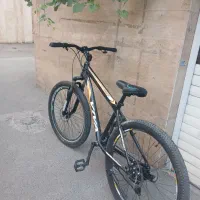 دوچرخه viva