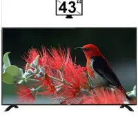 ال ای دی 43 سام