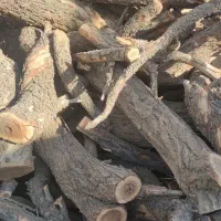 خرید چوب باغی خشک یک دست 6000تومن