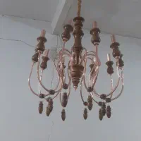 ۱۰ شاخه تمام چوب راش