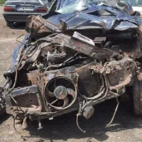 دنا معمولی چپی