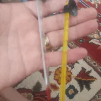 ماهی فایتر هافمون