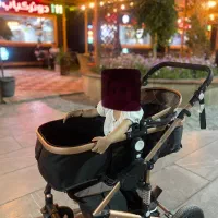 کالسکه|کالسکه و لوازم جانبی|کرج, کوی کارمندان جنوبی|دیوار