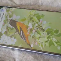 Redmi Note 13 pro 4G 12/512|موبایل|ارومیه, |دیوار