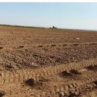 فروش زمین کشاورزی